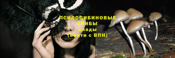 эйфоретик Алзамай