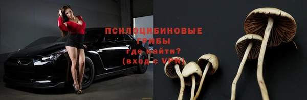 эйфоретик Алзамай