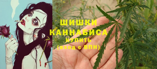 мдпв Россошь
