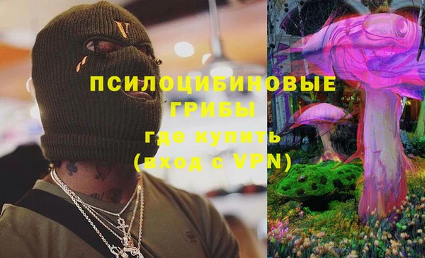 МДМА Приозерск