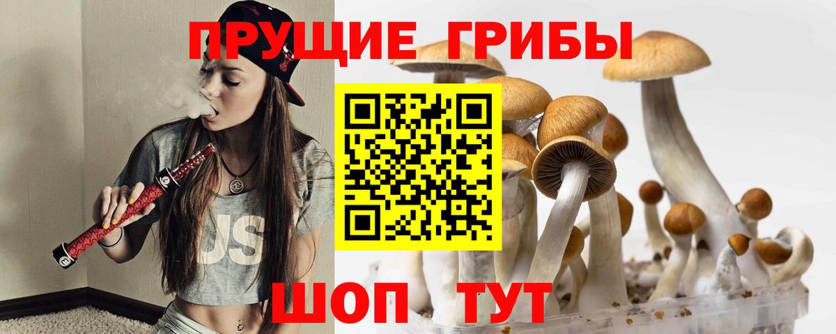 Псилоцибиновые грибы Psilocybine cubensis  Вход с VPN  Дюртюли  купить наркотик  Галлюциногенные грибы мицелий 
